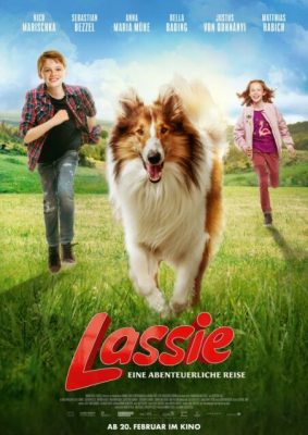 Film Wolf und Lassie
